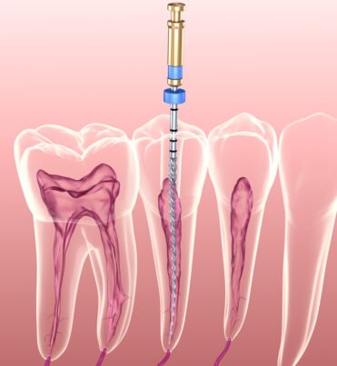 shutterstock_1444882343